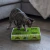 Catstages Juego De Caza Caja De Pasto - CRYSTAL Pet Lovers