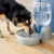 Bebedero Petmate Para Mascotas 3,8lts - CRYSTAL Pet Lovers