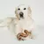 Hueso Masticable Benebone Tripbone Large Juguete Perro - CRYSTAL Pet Lovers