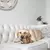 Hueso Masticable Benebone Tripbone Medium Juguete Perro - tienda online