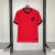Camisa Flamengo 26/27 Edição Especial - Adidas Masculino - Vermelha - comprar online