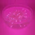 Pisca Pisca Fixo 100 Lâmpadas LED 10m M/F Rosa - Fio Cor Led na internet
