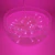 Pisca Pisca Fixo 100 Lâmpadas LED 10m M/F Rosa - Fio Transparente na internet