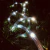 Mangueira Led Redonda 12mm IP67 Branco Frio 100m + 4 Conector - Paris Leds