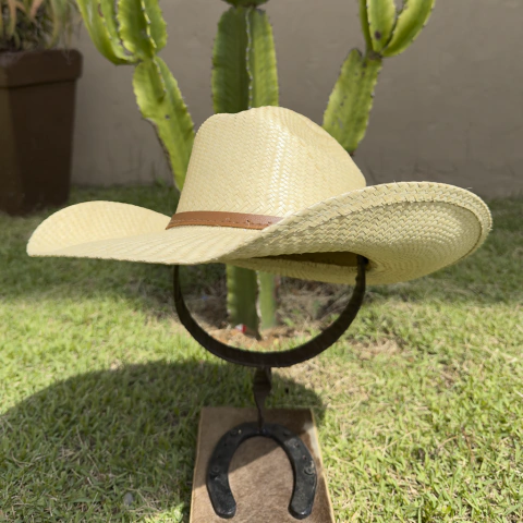 ARIZONA Aba 11