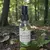 Elixir Força das Matas - Chuva Vibracional (60 ml) - comprar online