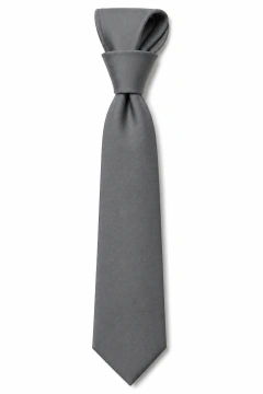 corbatas Eliseo - tienda online