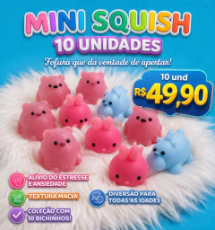 Imagem do 10 MINI SQUISH
