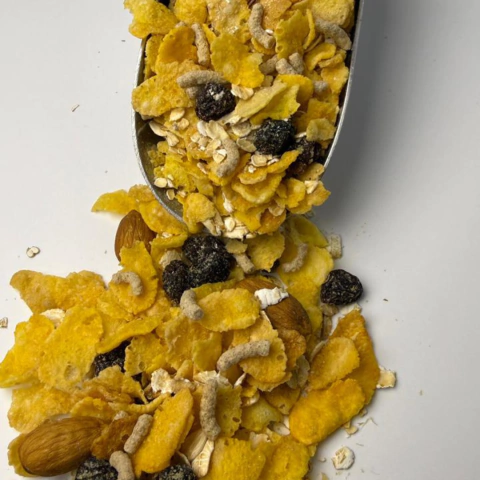 Granola - comprar online
