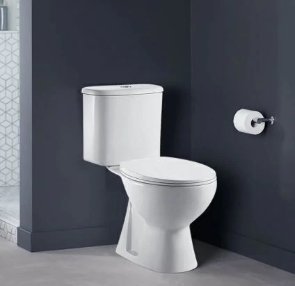 Inodoro DMC classic - comprar online