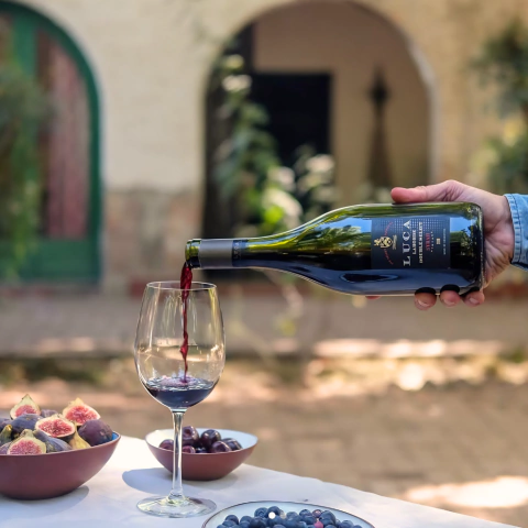 Luca Laborde Double Select Syrah