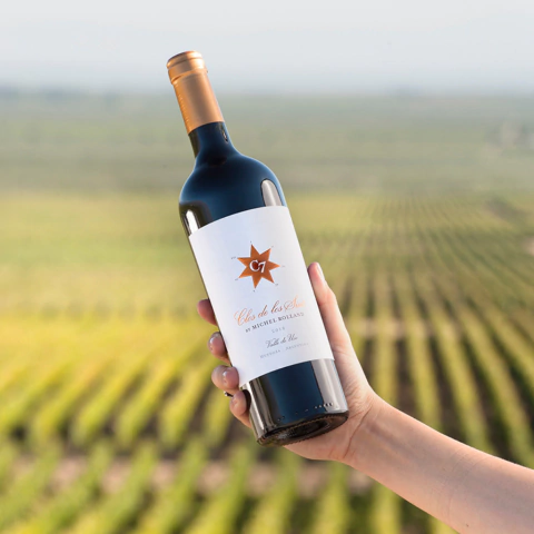 Clos de los 7 Siete - Michel Rolland