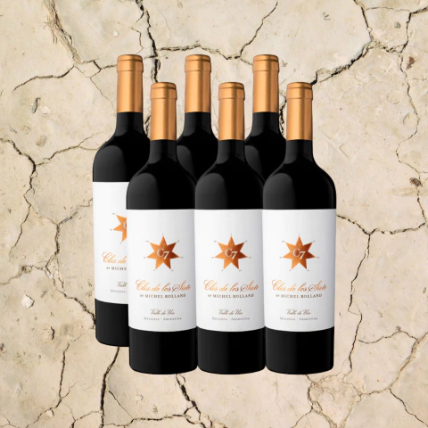 Clos de los Siete X6