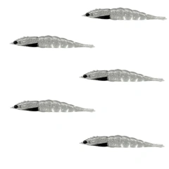 KIT MATADEIRA NEW CAMARÃO ROBALEIRO 6,8CM COR22 5UND