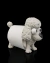 POOPOODLE na internet