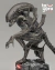 XENOMORPH - ALIEN na internet