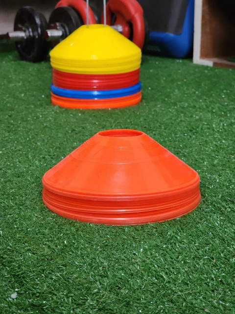 Cono tortuga (varios colores)
