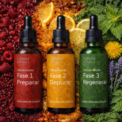 Programa de Reset Intestinal en internet