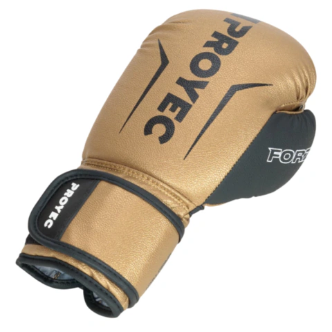 Proyec | Guantes de boxeo Forza - tienda online
