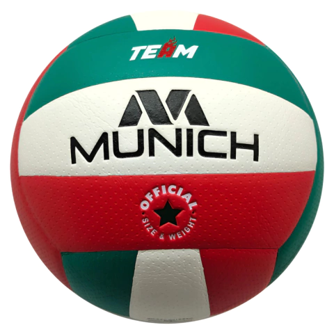 Munich | Pelota de vóley Team - comprar online