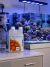 TROPIC MARIN ELIMI-PHOS RAPID 500 ML - Ocean Buds