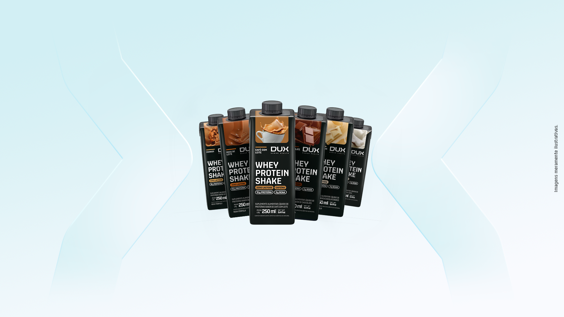 Kit 12 Whey Protein Shake