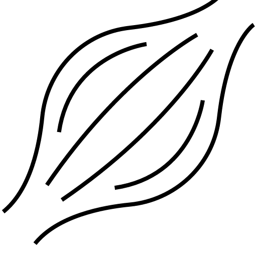 Saúde Muscular