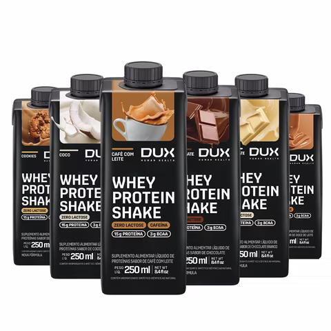 Kit 12 Whey Protein Shake