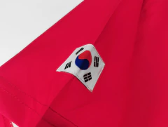 Camisa Retrô Seleção da Coreia do Sul - Copa do Mundo 2002 na internet