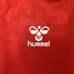 Camisa Seleção da Dinamarca Home - Eurocopa 2024 na internet