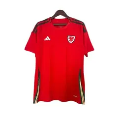 Camisa Seleção de País de Gales Home - Eurocopa 2024
