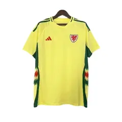 Camisa Seleção de País de Gales Away - Eurocopa 2024