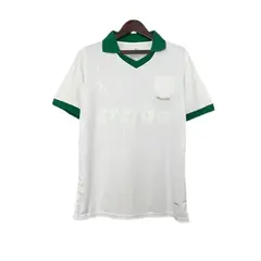 Camisa do Palmeiras Edição especial 2024/2025