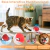 SmartTail 360: Brinquedo Interativo na internet