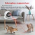 Laser Inteligente SmartChase: Diversão Automática - Mundo das Patinhas