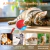 SmartTail 360: Brinquedo Interativo - loja online