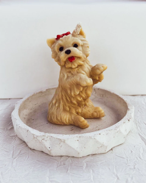 Vela Perrito – Colección Razas Mini en internet