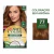 Kit Tonalizante Soft Color Marrom Dourado - 77 na internet