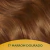 Kit Tonalizante Soft Color Marrom Dourado - 77 - Danny Cosméticos