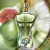 Imagem do Le Beau Paradise Garden Jean Paul Gaultier Eau De Parfum Masculino 125ml