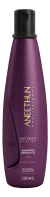 Shampoo Aneethun No Frizz System 300ml – Controle De Frizz