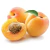Esfoliante Corporal Apricot D'Água Natural 300g - comprar online