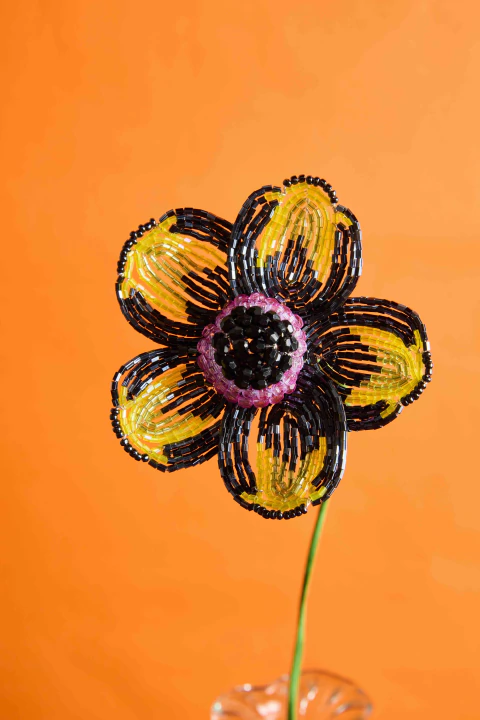 anémona coronaria - comprar online