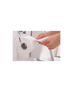 Bolson de papel higiénico ELEGANTE 4 x 30 mts. simple hoja (COD. 900) en internet