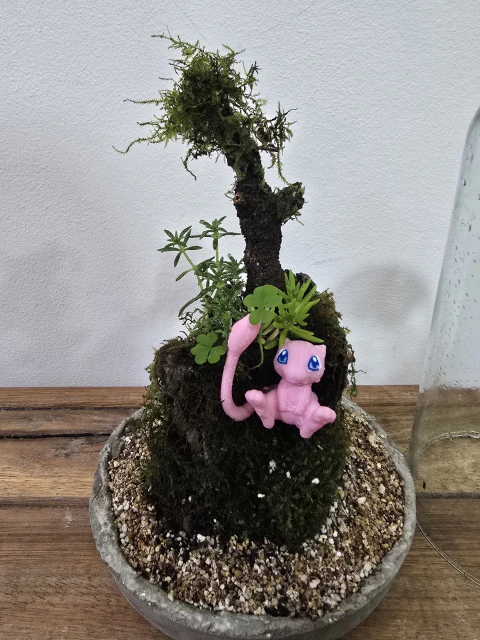 Terrario cerrado en cúpula de vidrioo