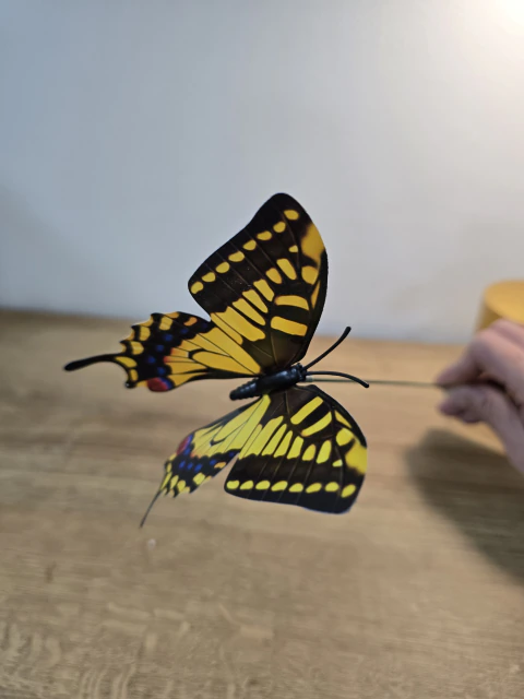 Mariposa decorativa
