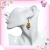 Aros De Sailor Moon Saludando, Ganchos De Acero en internet