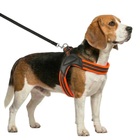 PECHERA FACIL COLOCACION S - 50CM-54CM - Perropolis Accesorios de Mascotas