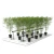 LUZ LED UNDER CANOPY 1 CANAL GROW PROS UCL1 - Magic Box