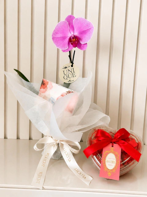 Pequenos Gestos - Orquídea Especial